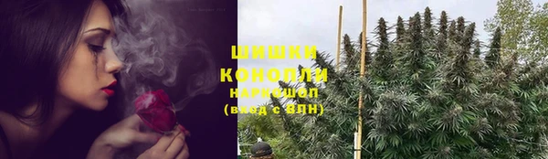 тгк Дмитров