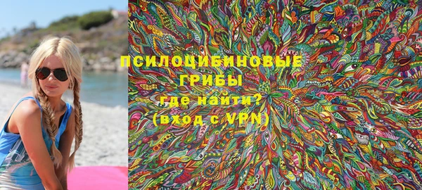 PSILOCYBIN Дмитровск