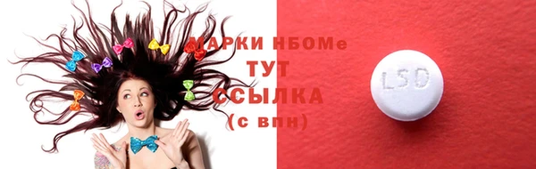 тгк Дмитров