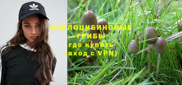 альфа пвп Дмитриев