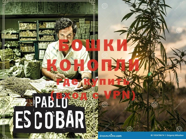 PSILOCYBIN Дмитровск