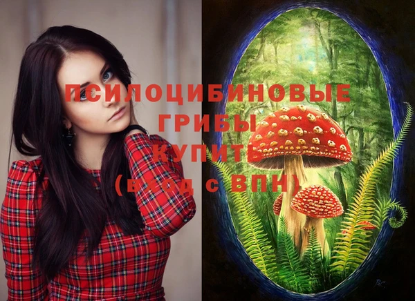 PSILOCYBIN Дмитровск
