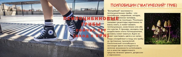 PSILOCYBIN Дмитровск