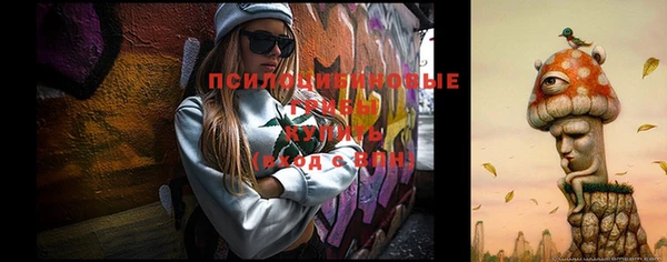 тгк Дмитров