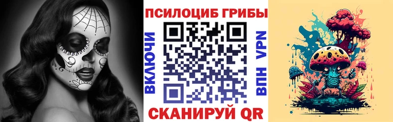 Купить где Няндома Галлюциногенные грибы Cubensis